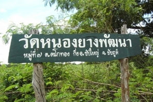 Wat Nong Yang Patthana Wat Nong Yang Patthana
