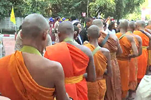 Wat Pa Nong Ta Cham Wat Pa Nong Ta Cham