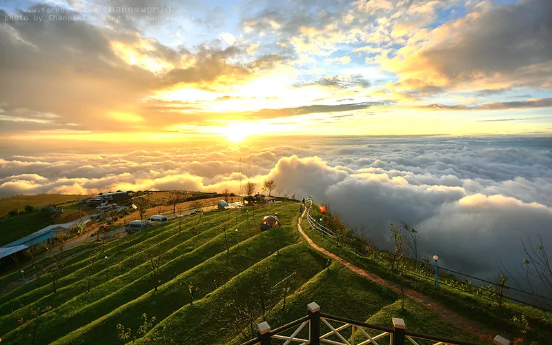 Phu Thap Boek