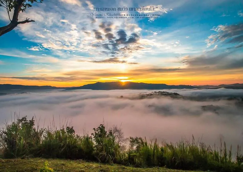 Sea of Fog