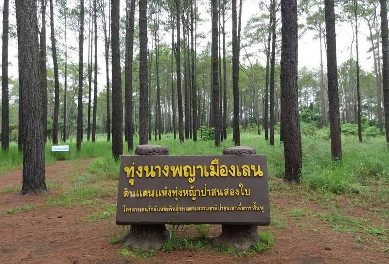 Thung Nang Phaya