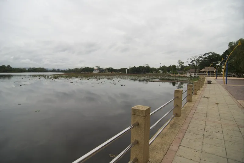 Nong Naree