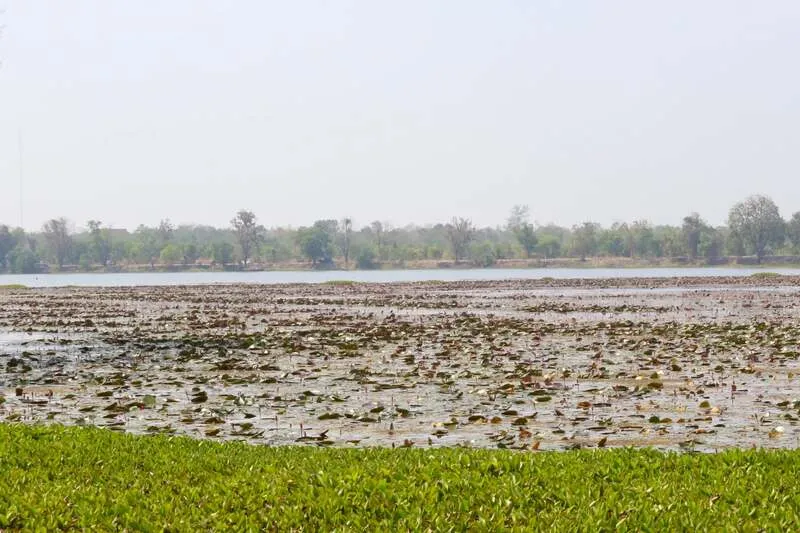 Nong Plakhaeyang
