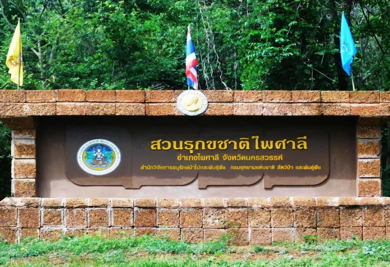 Paisali Forest