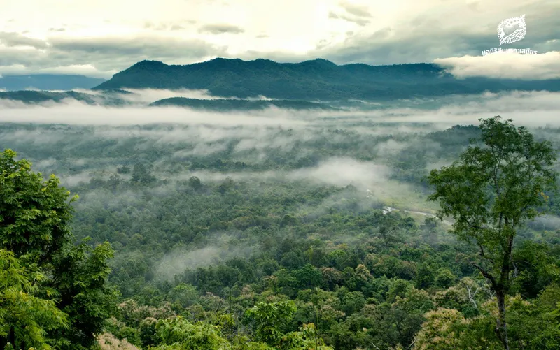 Mae Wong National Park Mae Wong National Park
