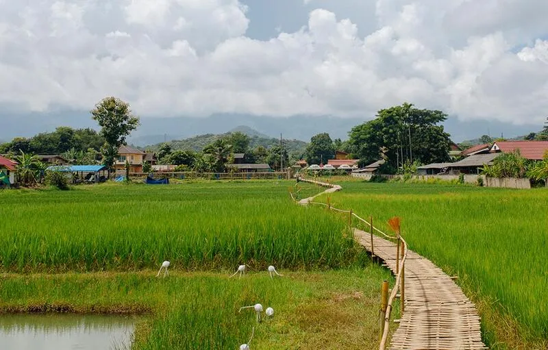 Ban Dok Bua Community