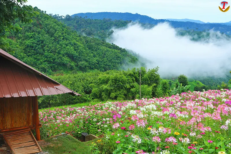 Ban Nam Chuang-Thap Si