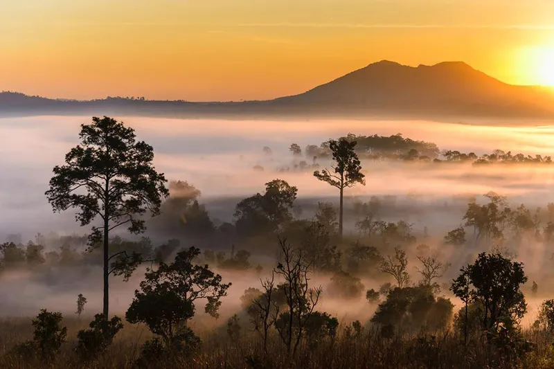 Thung Salaeng Luang National Park