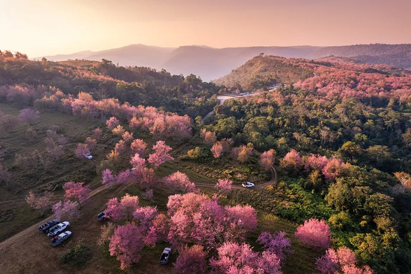 Phu Hin Rong Kla National Park
