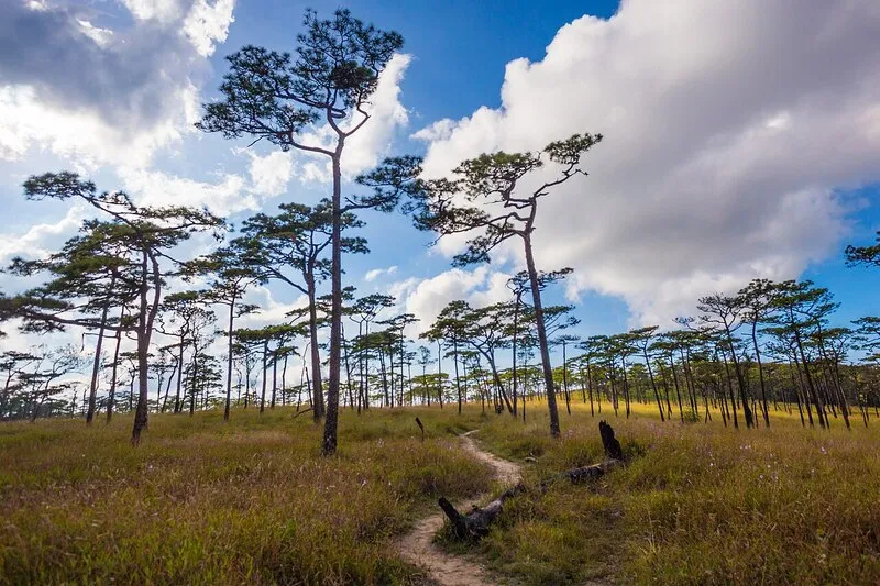 Phu Soi Dao National Park