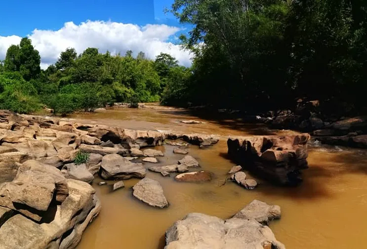 Kaeng Suea