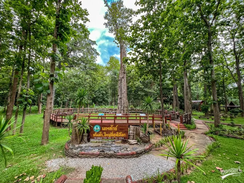 Sak Yai Forest Park Sak Yai Forest Park