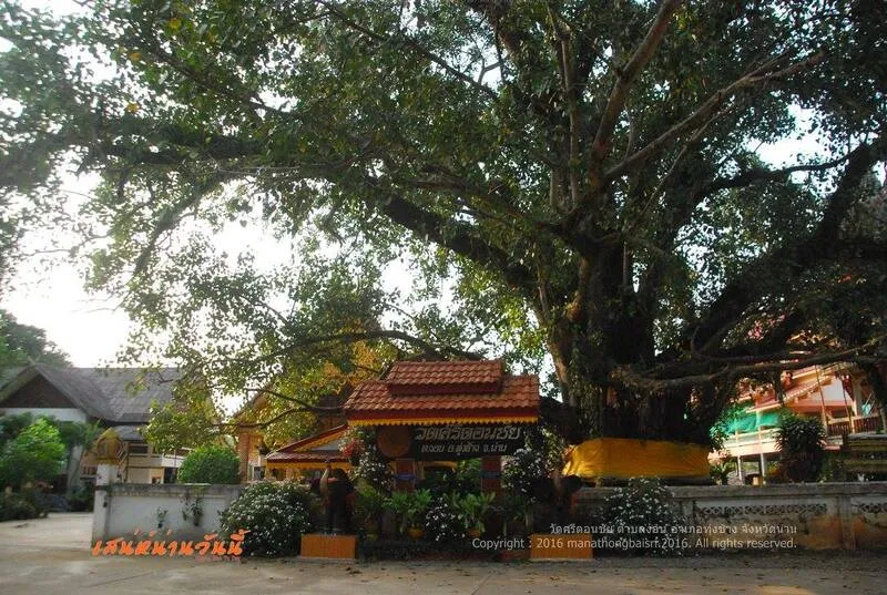 Wat Si Don Chai