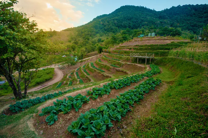 Royal Initiative Agricultural Development Station (Phu Phayak) Royal Initiative Agricultural Development Station (Phu Phayak)