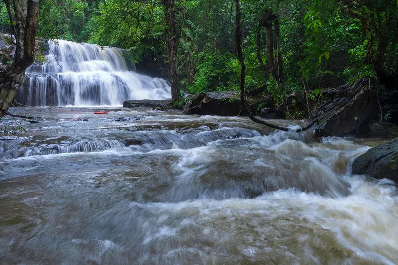 Pang Sida National Park Pang Sida National Park