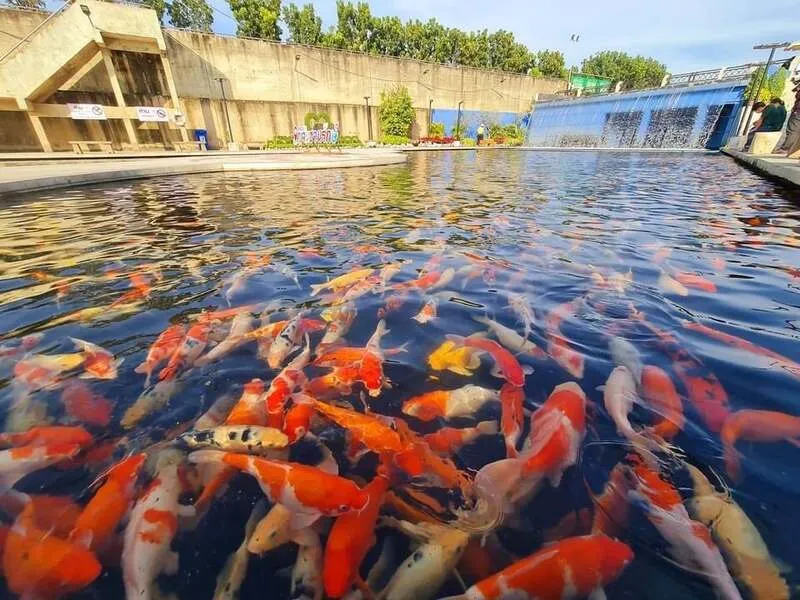 Khlong Yuan Chuan Rak