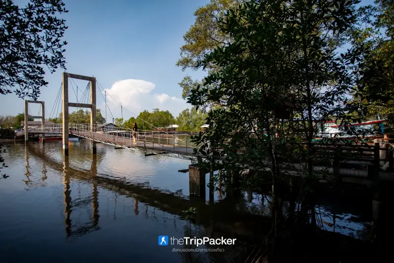 Eco-Tourism Boardwalk