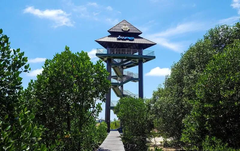 Chaloem Phra Kiat Mangrove Forest