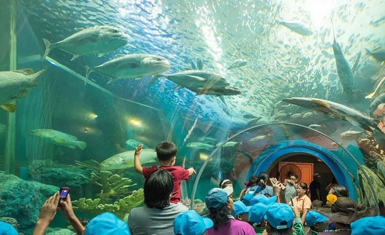 Rayong Aquarium