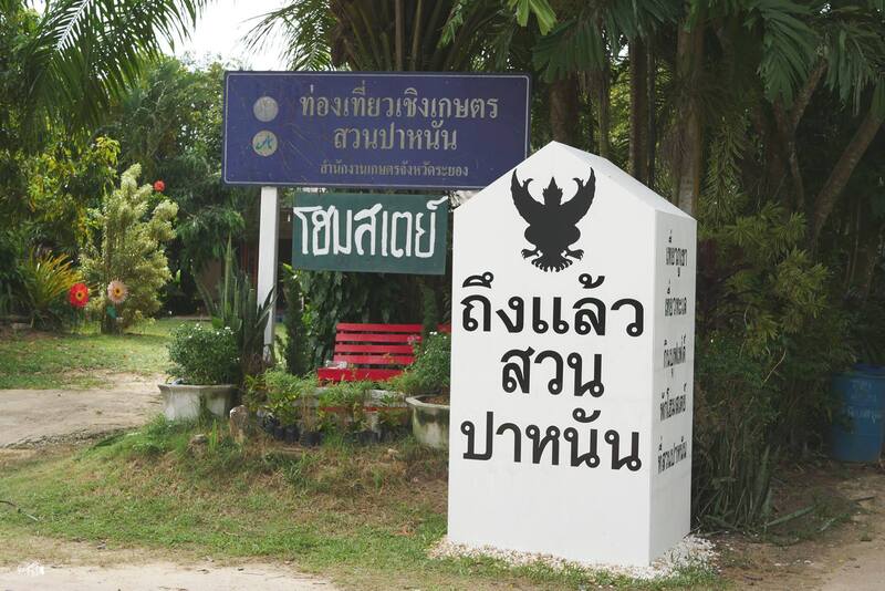 Phanan Orchard