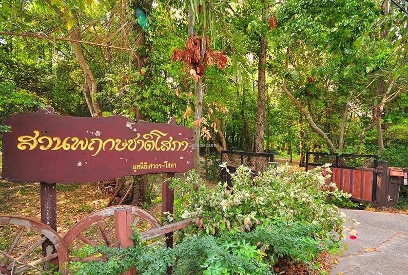 The Sopha Arboretum