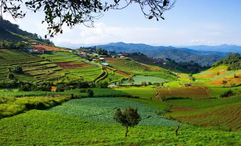 Nong Hoi Royal Project Development Center Nong Hoi Royal Project Development Center
