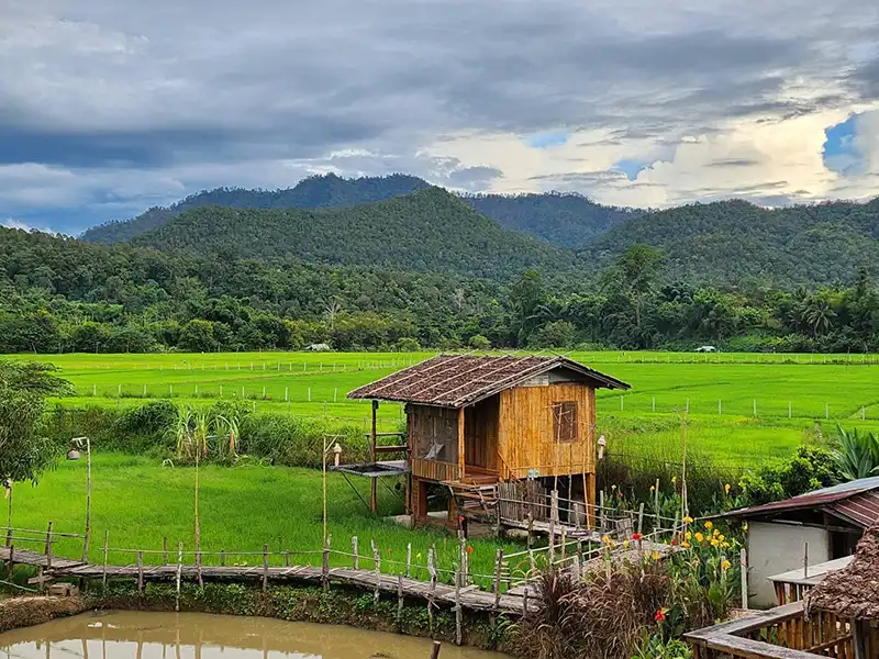 เมืองคอง เมืองคอง