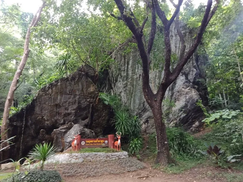Tham Pha Tup Forest Park