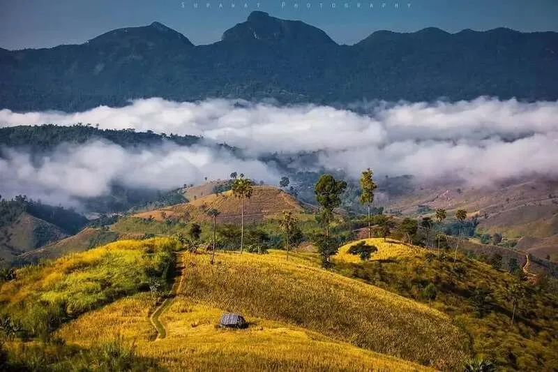 Doi Wao National Park