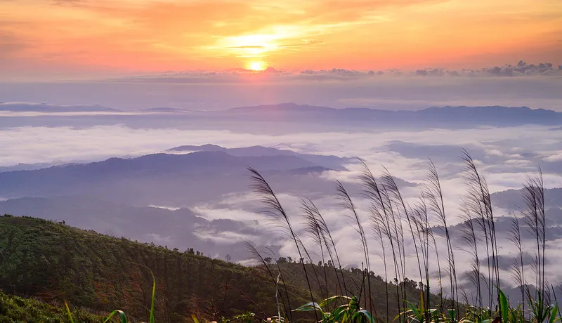 Doi Suan Ya Luang