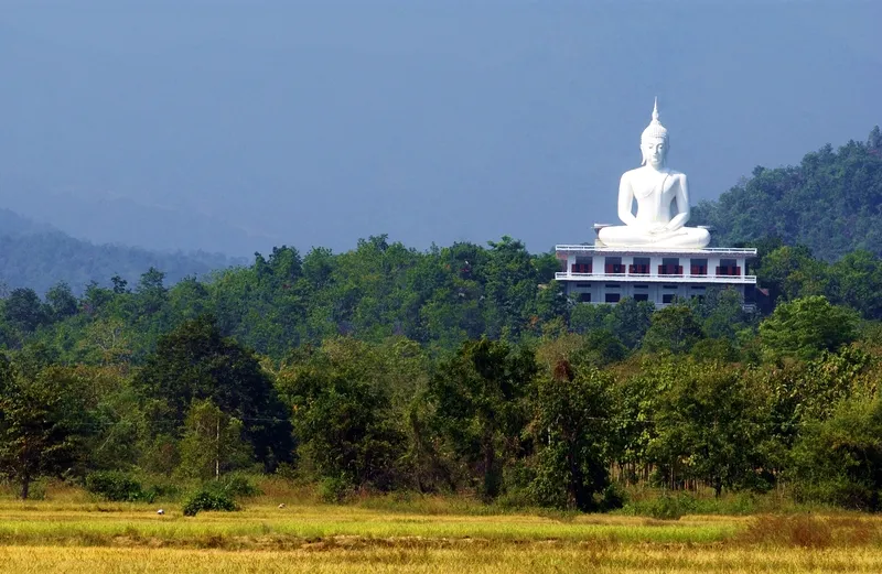 Wat Phra Phutthabat Doi Lon
