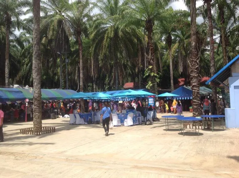 Ban Nong Muang Palm Garden Ban Nong Muang Palm Garden