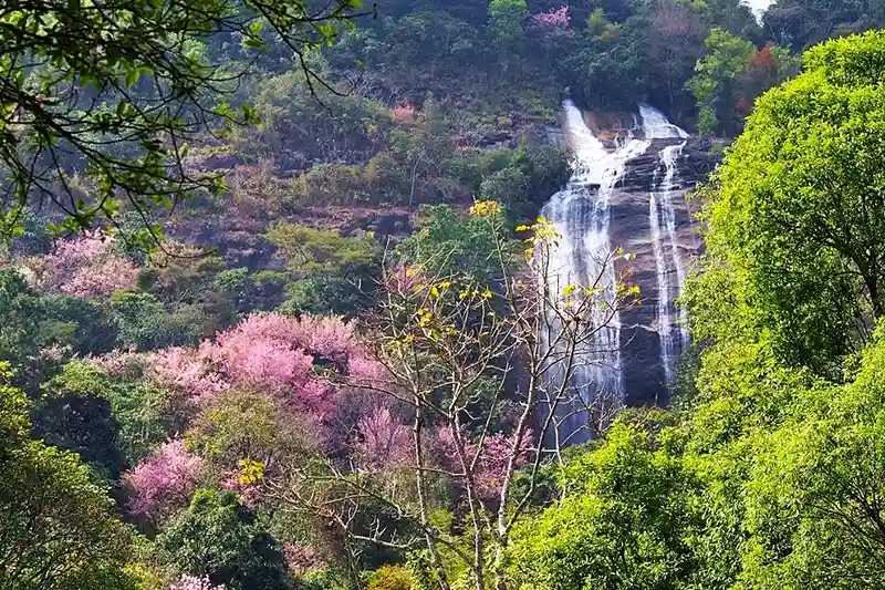 Siriphum Waterfall Siriphum Waterfall