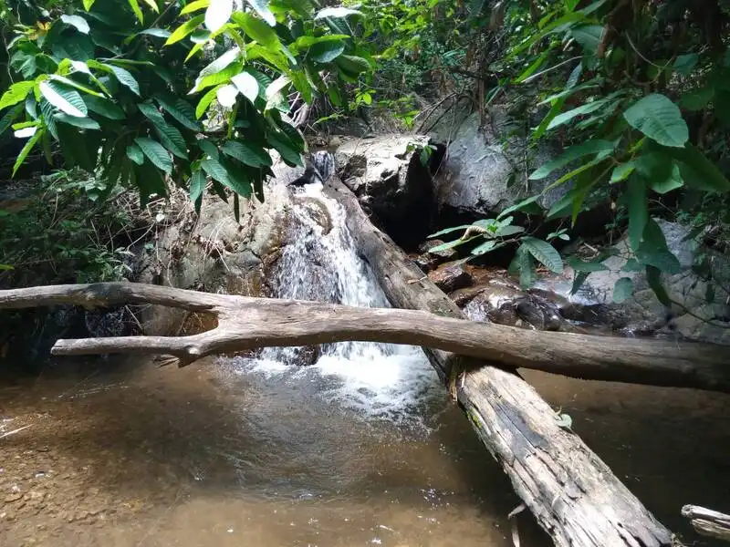 Mae Kim Waterfall Mae Kim Waterfall