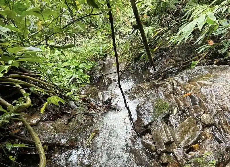 Thung Ton Ngiew Waterfall Thung Ton Ngiew Waterfall