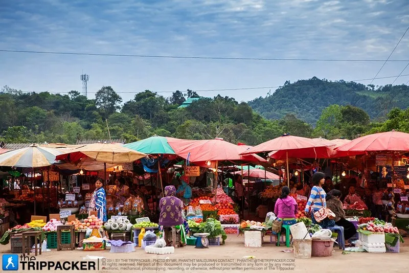 Muser Market
