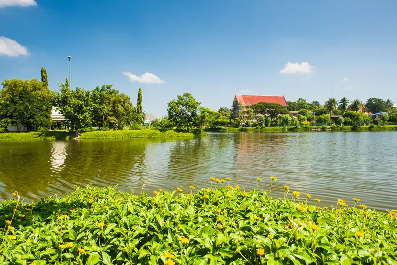 Mani Banphot Swamp