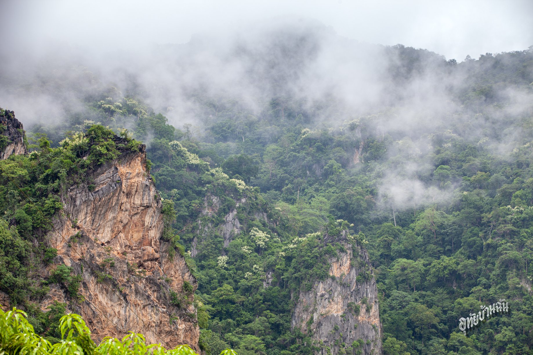 Khao Plara