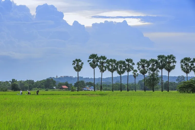 Koh Thepho