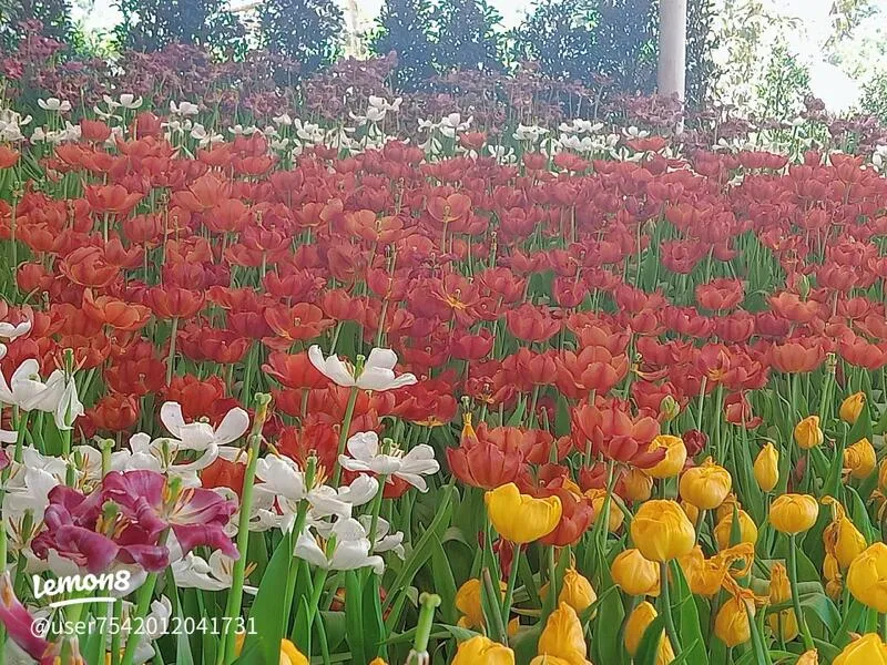 Botanical Garden