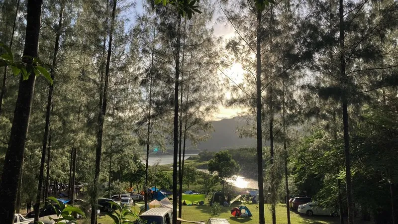 Phu Pha Coffee Camp