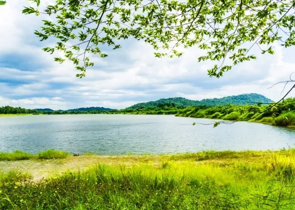 Thap Pradu Reservoir