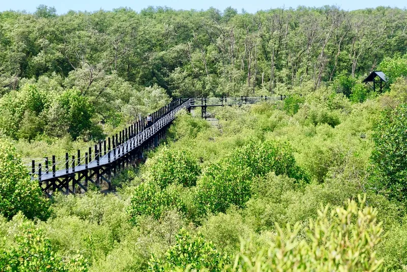 Nature Education Center and Mangrove Conservation