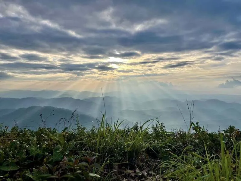 Doi Chong National Park Doi Chong National Park
