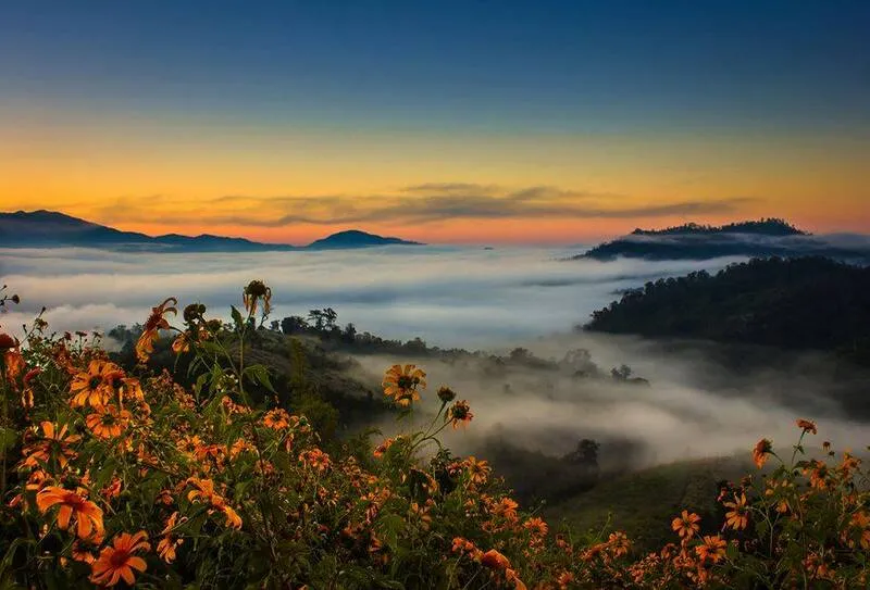 Yun Lai Misty Sea