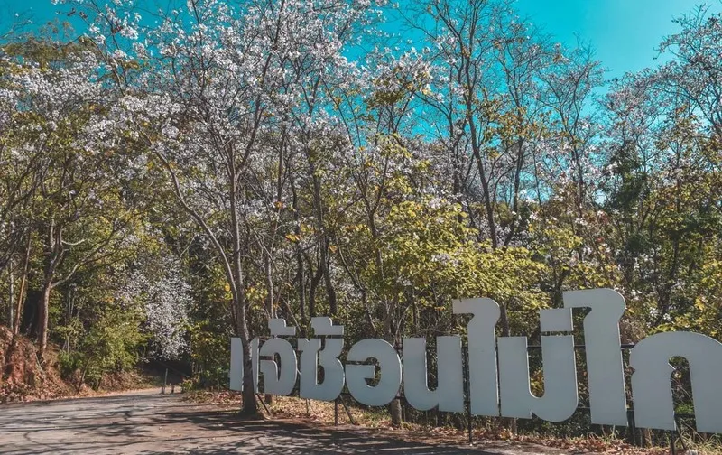 Dok Seaw Pan