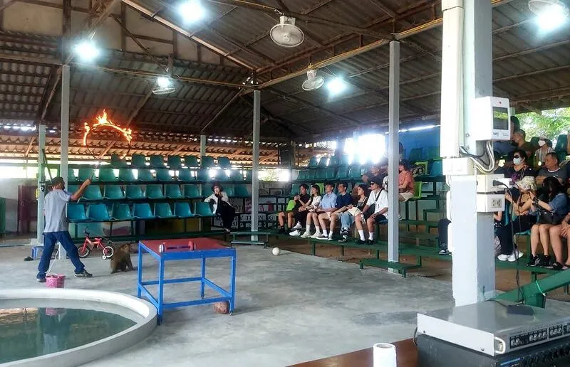 The Pattaya Monkey Training Center