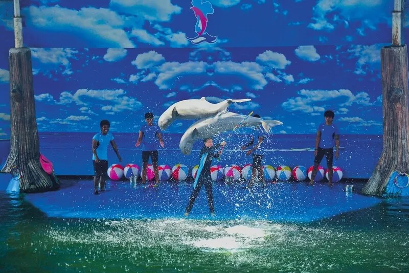 Pattaya Dolphin World and Resort