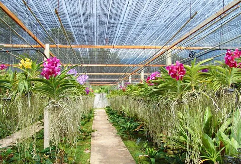 Siriporn Orchid Garden