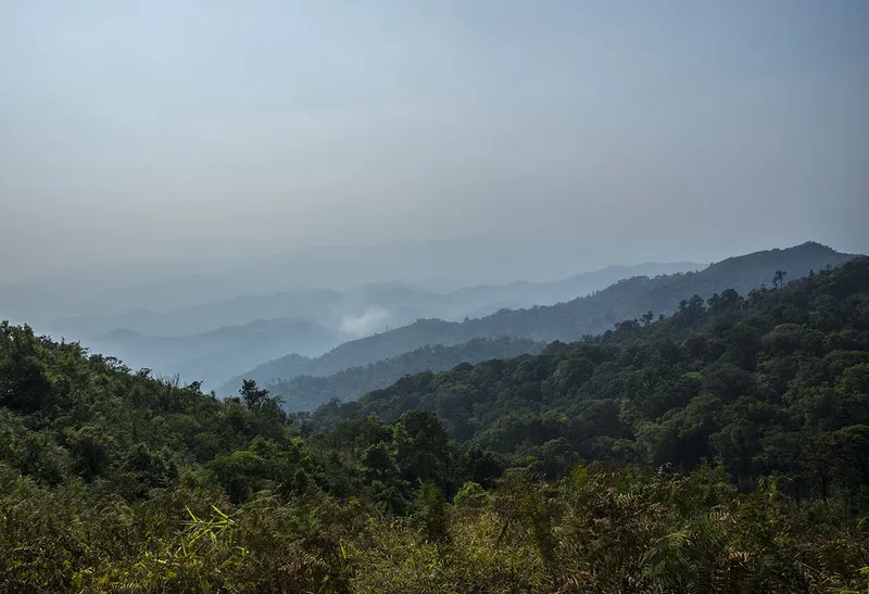 Khao Pak Khao Pak